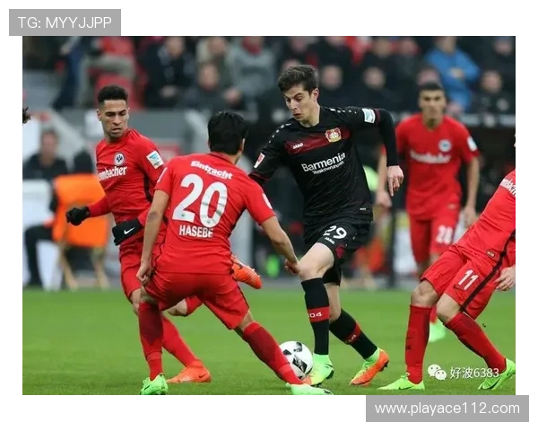 博体比分盘口的最新动态与趋势，掌握投注策略不再难